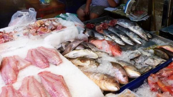 Купить рыбу на рынке в Никити по пятницам